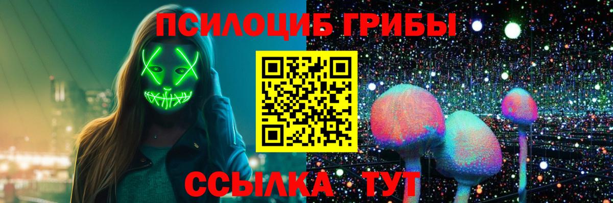 хочу   Псилоцибиновые грибы прущие грибы  Вход с VPN  Урай 